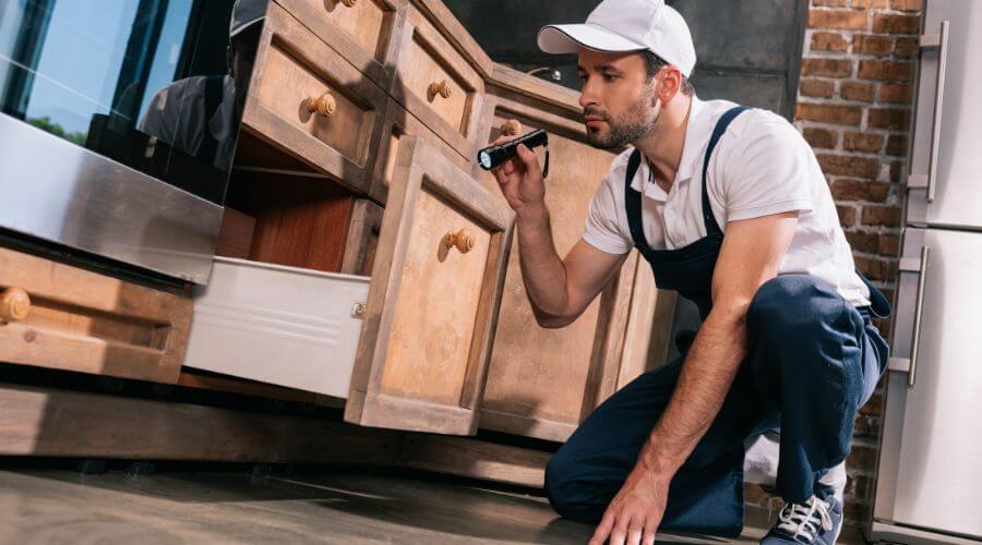 Professional pest control services in Beaconsfield
